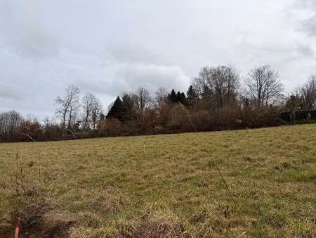 terrain à vendre