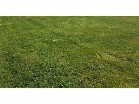 terrain constructible à vendre