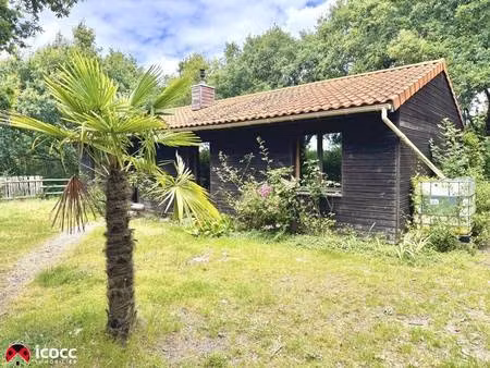 maison à louer