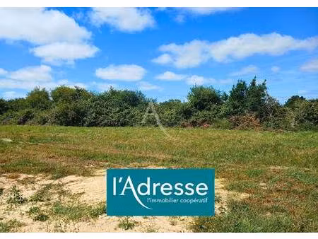 terrain constructible viabilisé à vendre