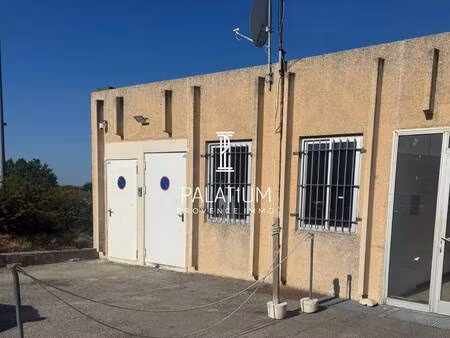 palatium immobilier
