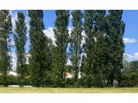 terrain constructible à vendre