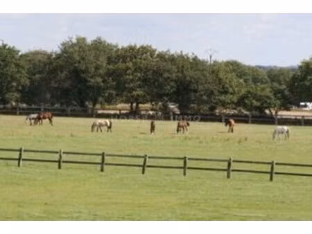 haras de reproduction clé en main sur 52 ha dans le morbihan (5