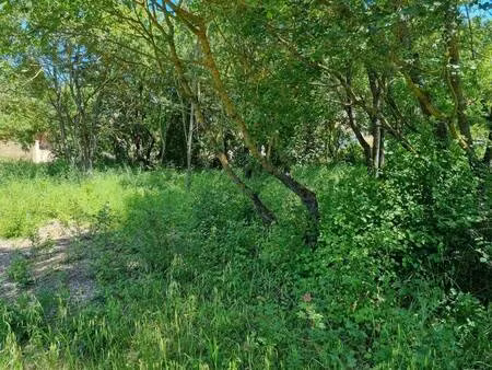 terrain constructible viabilisé à vendre