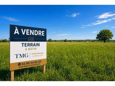 terres et maisons gestion