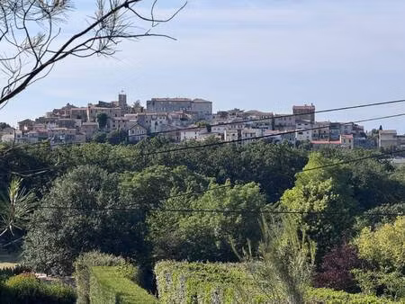 tradisud