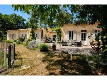 nestenn bouc bel air