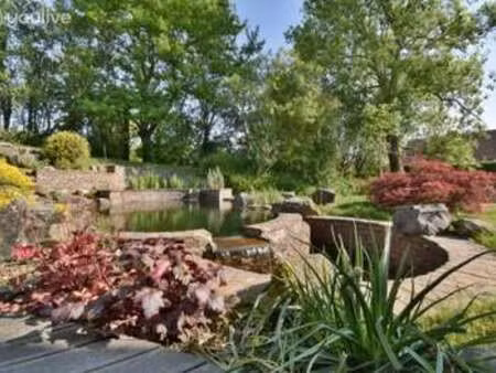 vente maison piscine à morvillars (90120) : à vendre piscine / 175m² morvillars