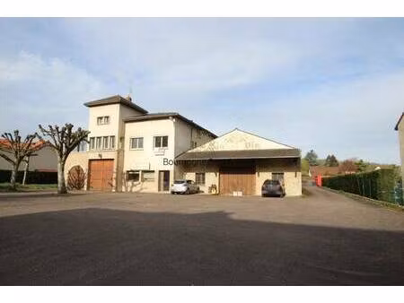 immeuble à vendre