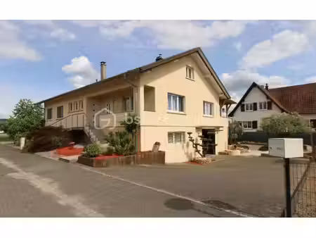 thomas viennois bsk immobilier