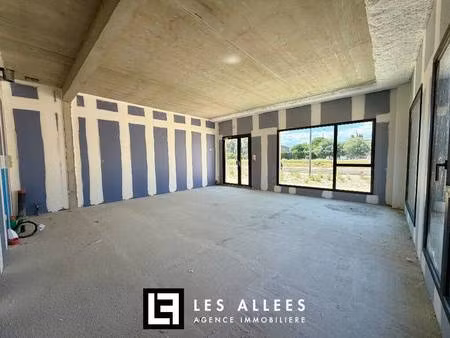immobilière les allées