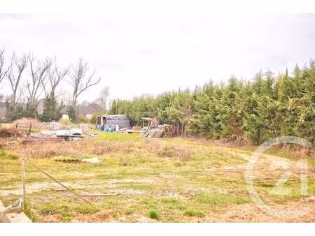 terrain constructible viabilisé à vendre