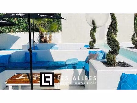 immobilière les allées