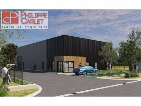 philippe carlet immobilier entreprise