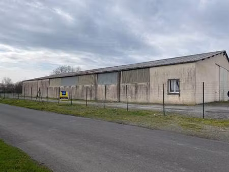 m immobilier