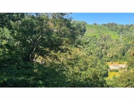 terrain à vendre
