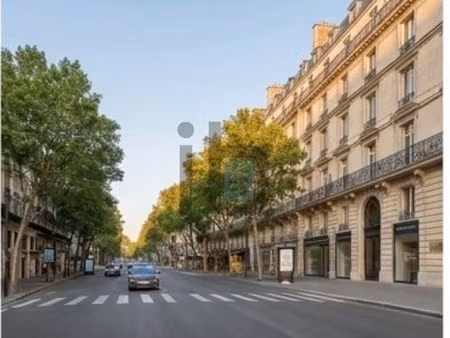 vente bureaux 260 m²