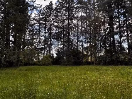 terrain constructible à vendre