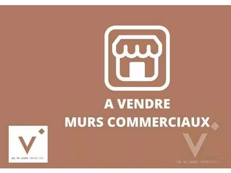 val de loire immobilier