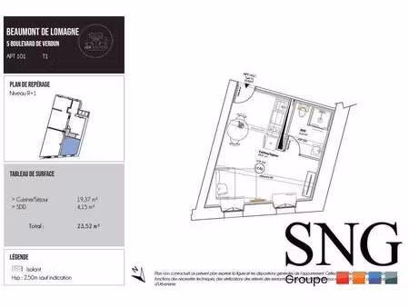 s.n.g immobilier