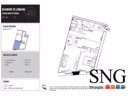s.n.g immobilier