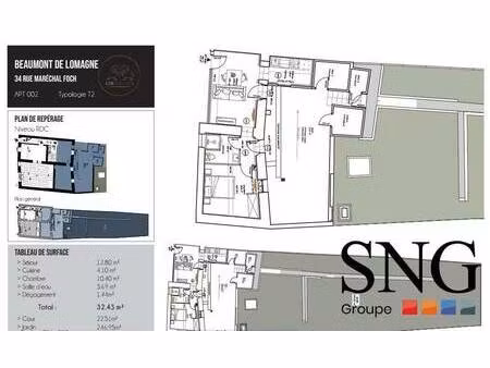 s.n.g immobilier