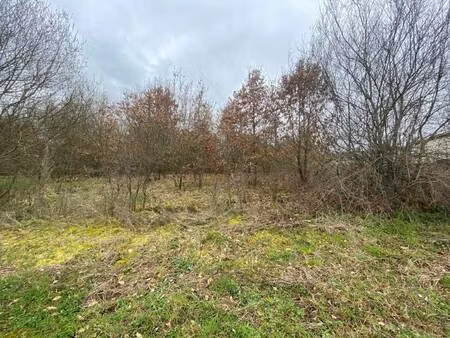 terrain constructible viabilisé à vendre