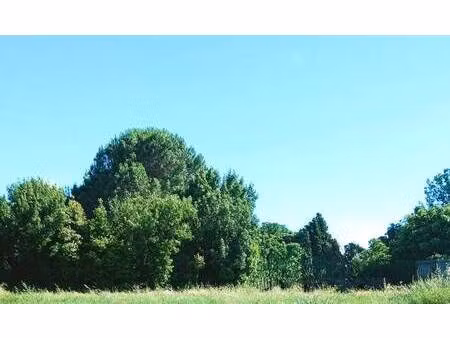 terrain constructible à vendre