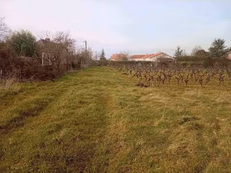 terrain constructible viabilisé à vendre