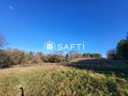 safti decaens tiphaine conseiller indépendant