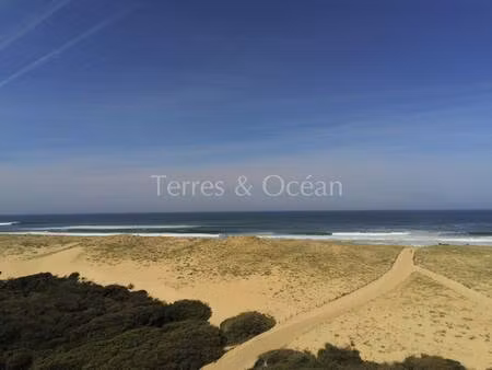 terres & ocean immobilier hossegor