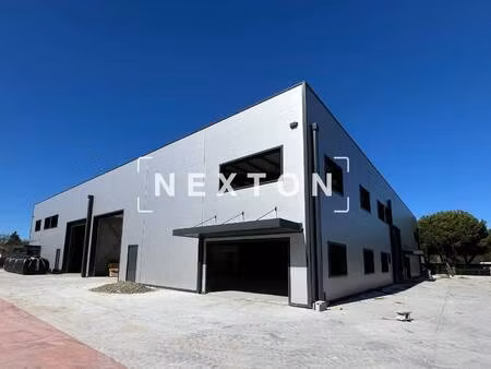 nexton immobilier