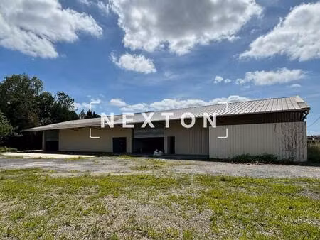 nexton immobilier
