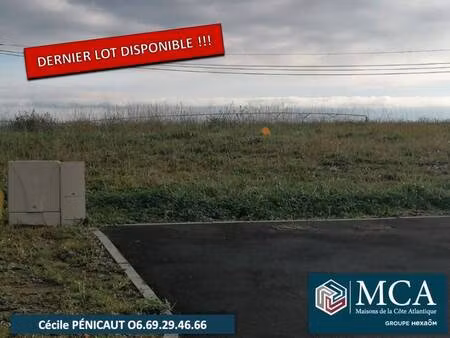 terrain constructible viabilisé à vendre