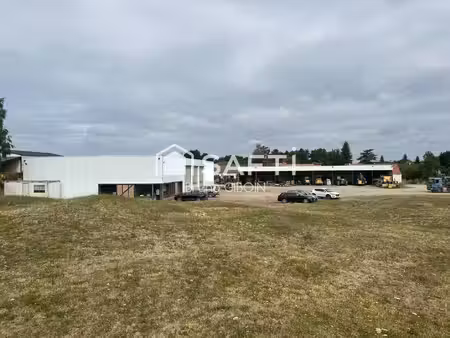 safti giboin bruno conseiller indépendant