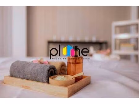 plume immobilier