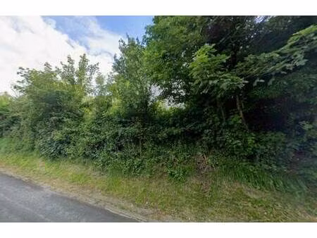 terrain constructible à vendre