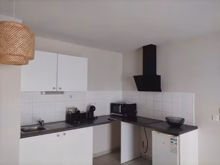 lumineux t3 meuble de 65 m2 recemment renove avec terrasse e