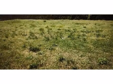 terrain constructible à vendre