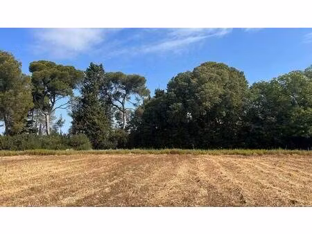 terrain constructible viabilisé à vendre