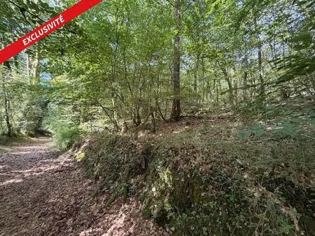 terrain à vendre