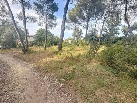 terrain constructible viabilisé à vendre