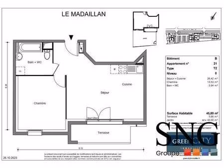 s.n.g immobilier
