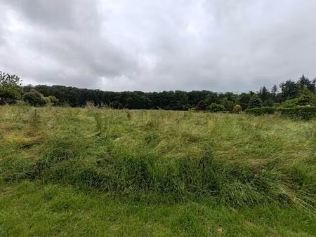 terrain à vendre