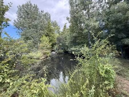 vente terrain à talmont-saint-hilaire (85440) : à vendre / talmont-saint-hilaire