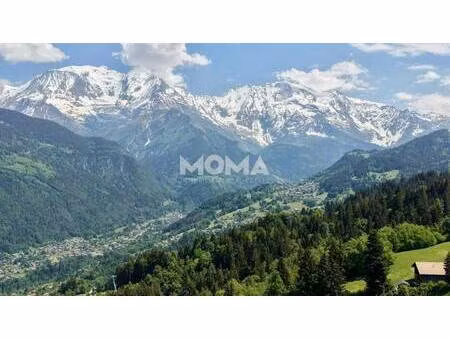 moma immobilier