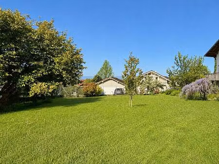 pascal immobilier new