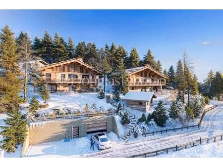 douglas elliman france chamonix