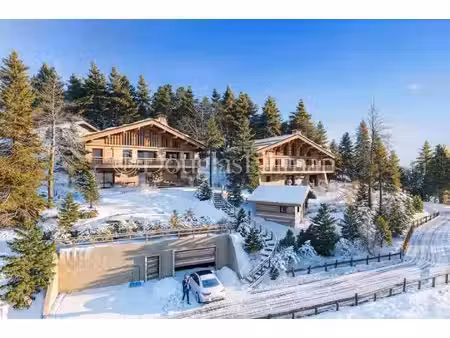douglas elliman france