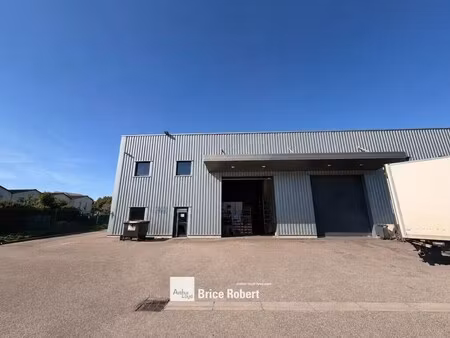 location local d’activités saint priest 69800 280m²